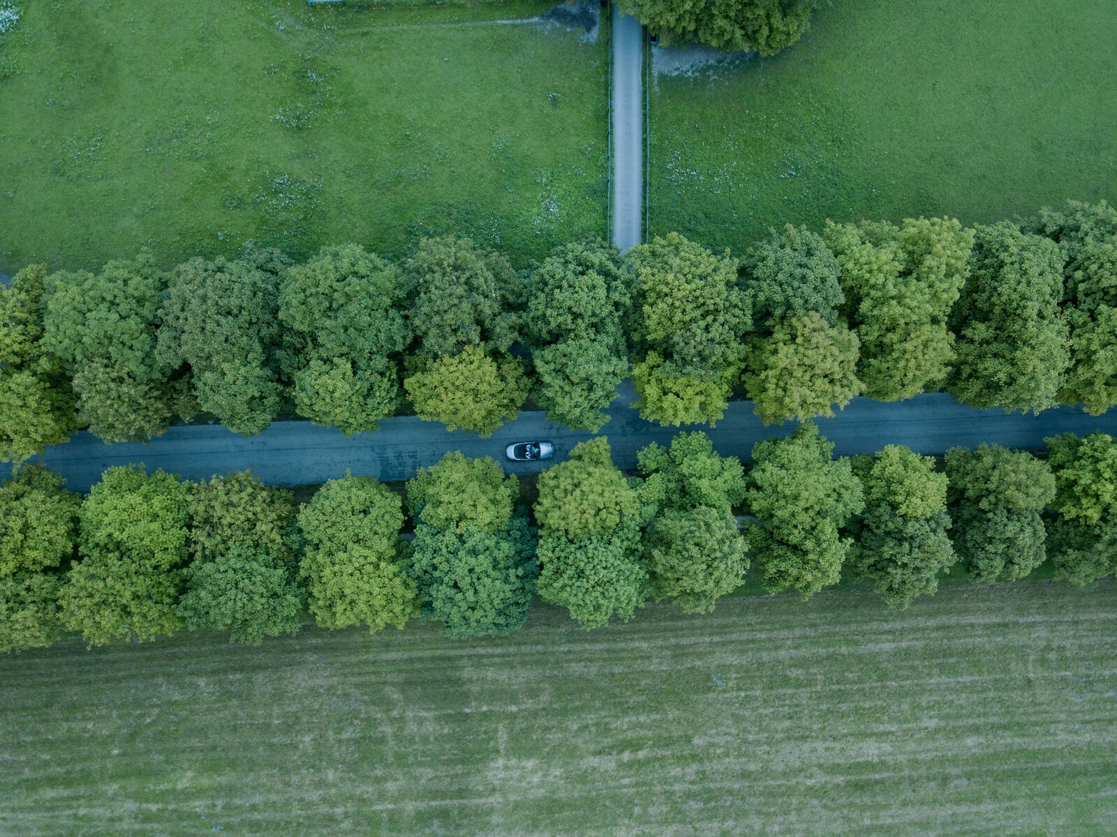 綠意道路中的長期租車行駛情境